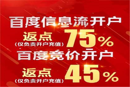 SEM主管如何制定有效的广告投放计划——案例分析